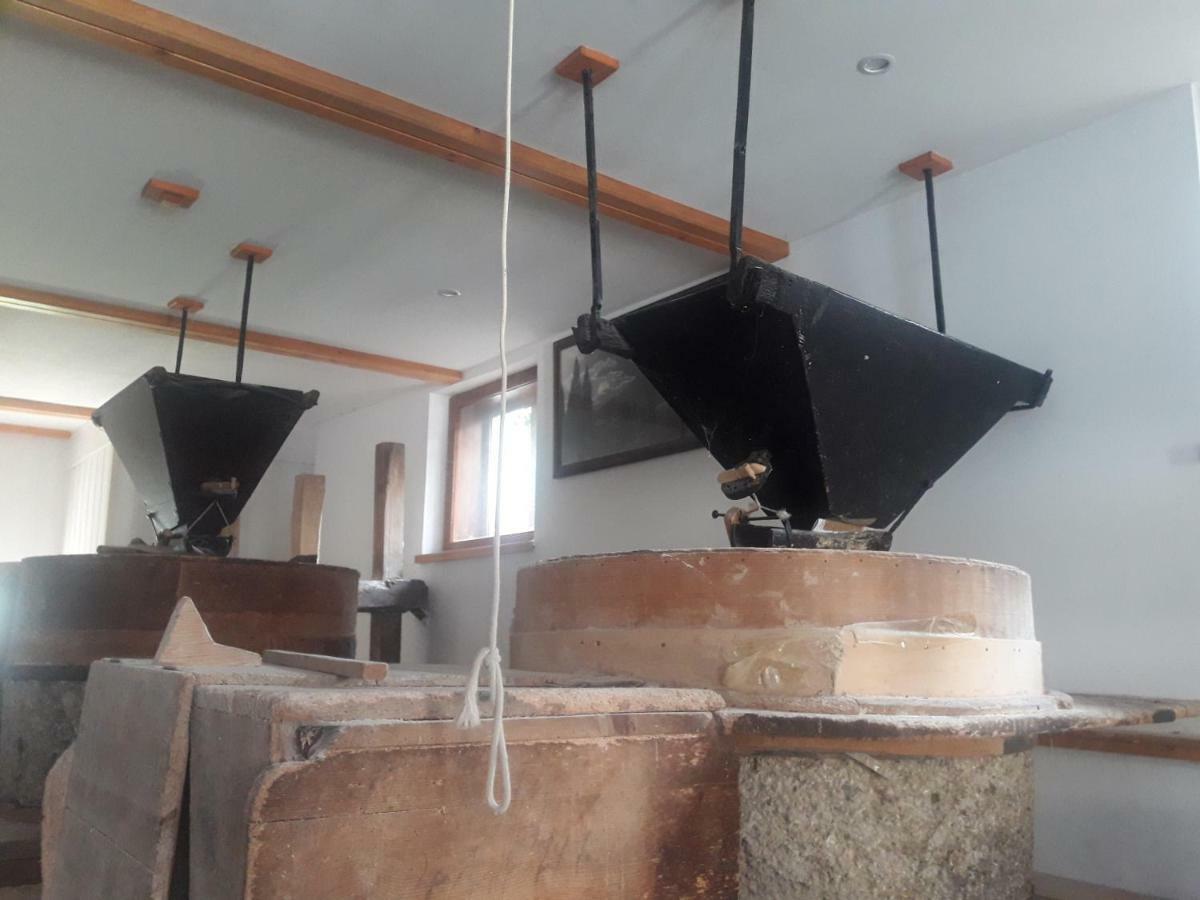 Old Mill House Lejlighed Bohinj Eksteriør billede